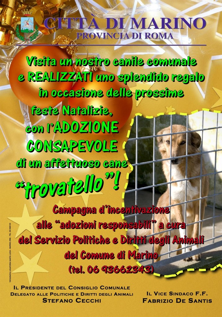 Campagna adozioni cani