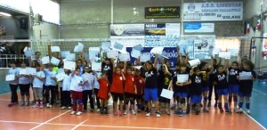 minivolley