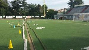 stadio_fiore