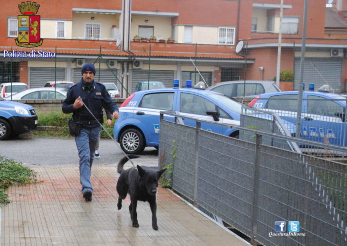 cane_polizia