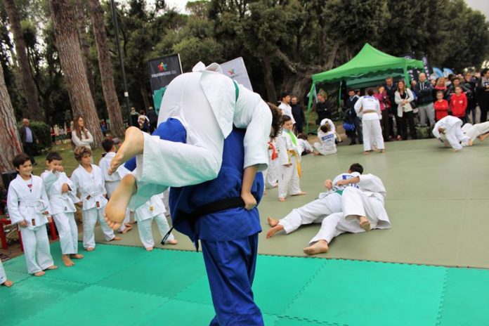 judo